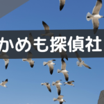かもめ探偵社 口コミ