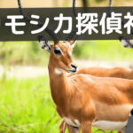 カモシカ探偵社 口コミ